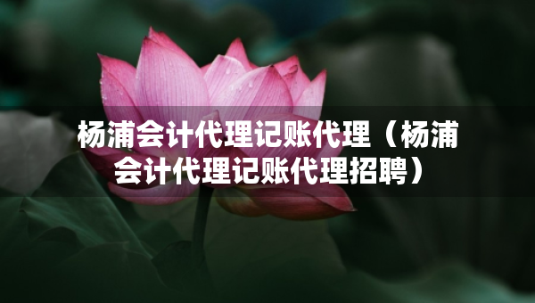 杨浦会计代理记账代理（杨浦会计代理记账代理招聘）