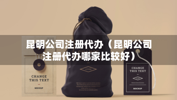 昆明公司注册代办（昆明公司注册代办哪家比较好）