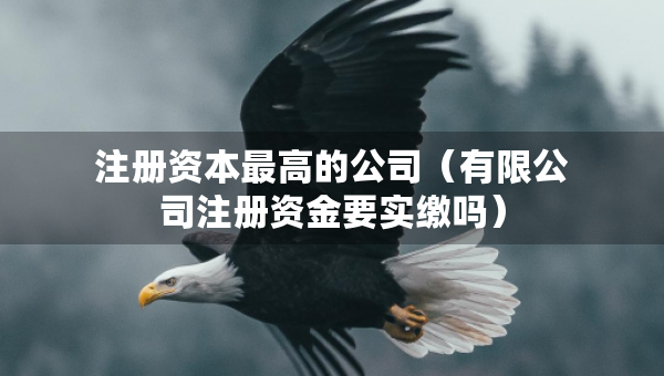 注册资本最高的公司（有限公司注册资金要实缴吗）