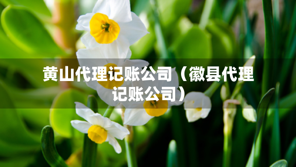 黄山代理记账公司（徽县代理记账公司）