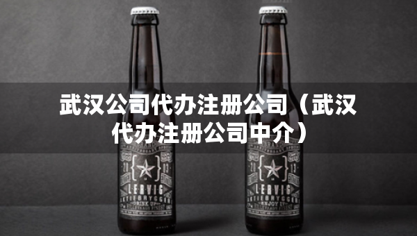 武汉公司代办注册公司（武汉代办注册公司中介）