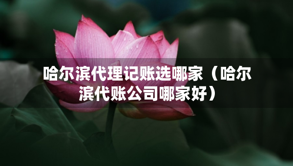 哈尔滨代理记账选哪家（哈尔滨代账公司哪家好）