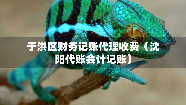 于洪区财务记账代理收费（沈阳代账会计记账）