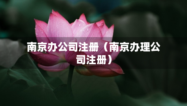 南京办公司注册（南京办理公司注册）