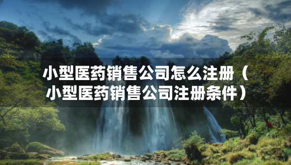 小型医药销售公司怎么注册（小型医药销售公司注册条件）