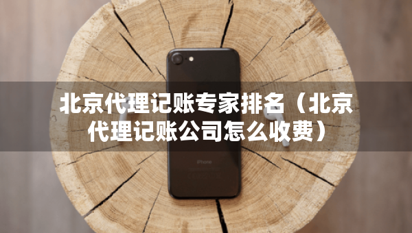 北京代理记账专家排名（北京代理记账公司怎么收费）