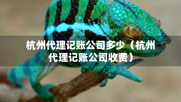 杭州代理记账公司多少(杭州代理记账公司收费) 杭州代理记账公司多少(杭州代理记账公司收费)