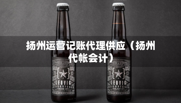 扬州运营记账代理供应（扬州代帐会计）