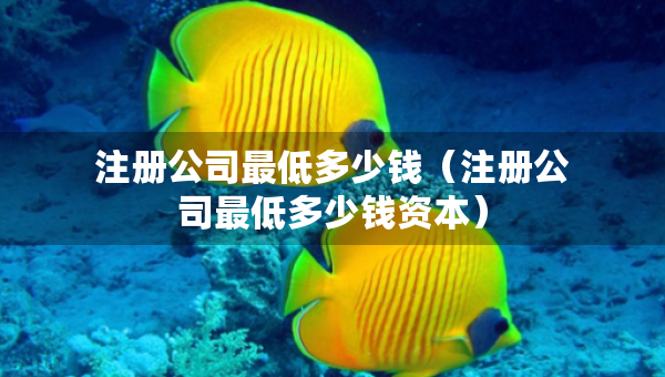 注册公司最低多少钱（注册公司最低多少钱资本）