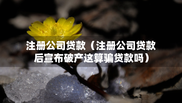 注册公司贷款（注册公司贷款后宣布破产这算骗贷款吗）