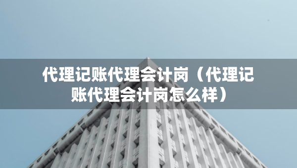 代理记账代理会计岗（代理记账代理会计岗怎么样）