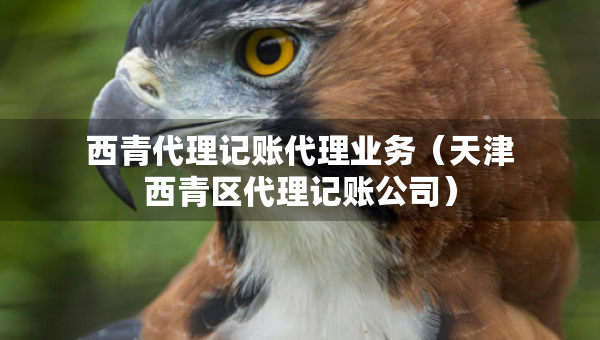 西青代理记账代理业务（天津西青区代理记账公司）