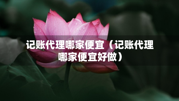 记账代理哪家便宜（记账代理哪家便宜好做）