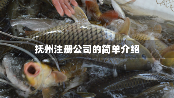 抚州注册公司的简单介绍