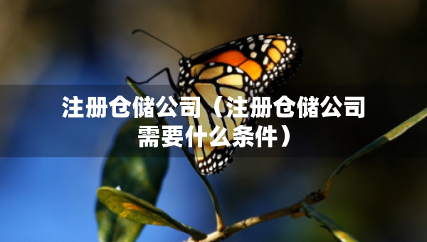 注册仓储公司（注册仓储公司需要什么条件）