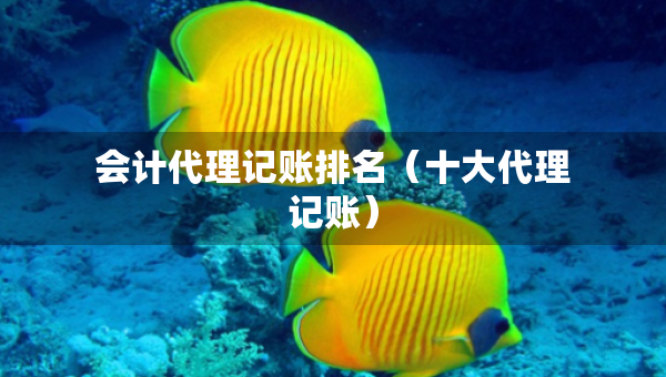 会计代理记账排名（十大代理记账）