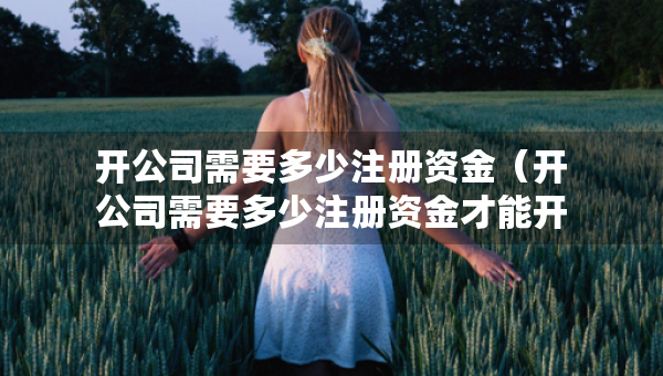 开公司需要多少注册资金（开公司需要多少注册资金才能开）