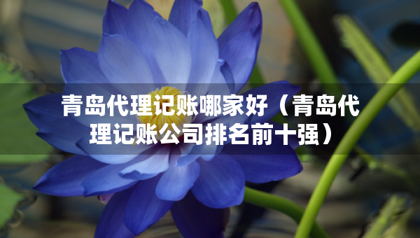 青岛代理记账哪家好（青岛代理记账公司排名前十强）