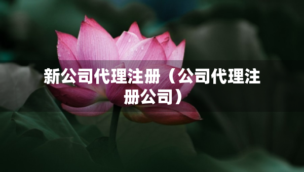 新公司代理注册（公司代理注册公司）