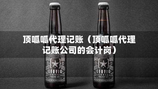 顶呱呱代理记账（顶呱呱代理记账公司的会计岗）