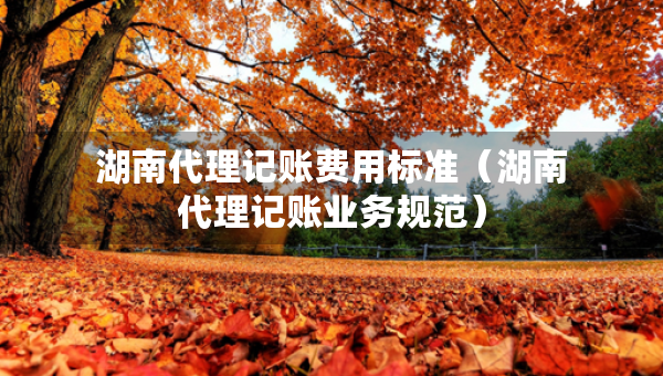 湖南代理记账费用标准(湖南代理记账业务规范) 湖南代理记账费用标准(湖南代理记账业务规范)