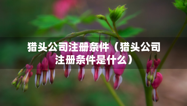 猎头公司注册条件（猎头公司注册条件是什么）