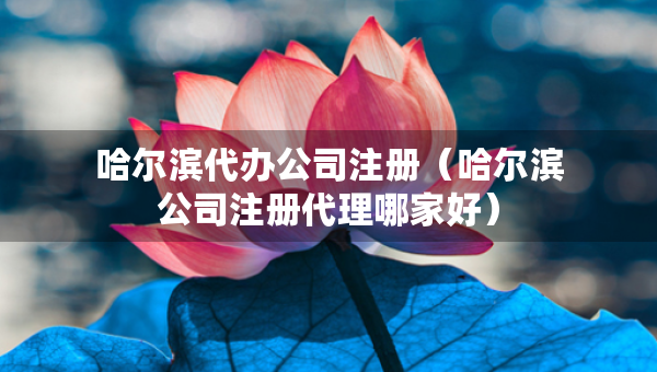 哈尔滨代办公司注册（哈尔滨公司注册代理哪家好）