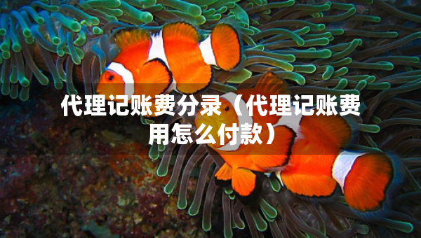代理记账费分录（代理记账费用怎么付款）