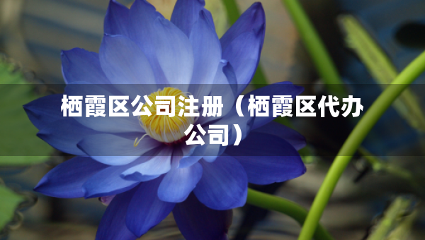 栖霞区公司注册（栖霞区代办公司）