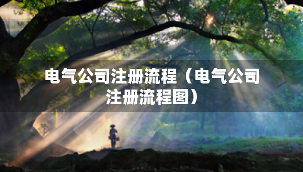 电气公司注册流程（电气公司注册流程图）
