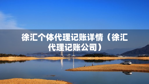 徐汇个体代理记账详情（徐汇代理记账公司）