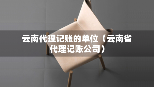 云南代理记账的单位（云南省代理记账公司）