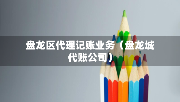 盘龙区代理记账业务（盘龙城代账公司）