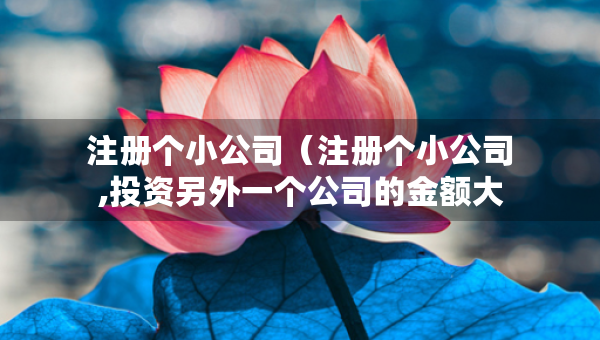注册个小公司（注册个小公司,投资另外一个公司的金额大于注册资金）