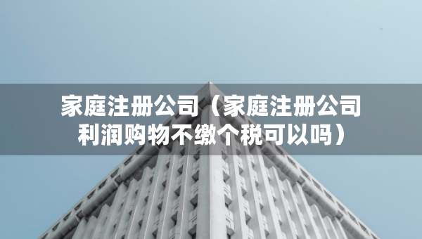 家庭注册公司（家庭注册公司利润购物不缴个税可以吗）
