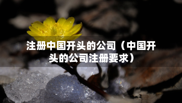 注册中国开头的公司（中国开头的公司注册要求）