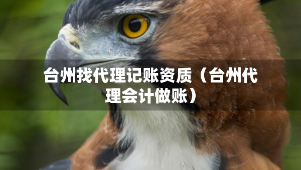 台州找代理记账资质（台州代理会计做账）