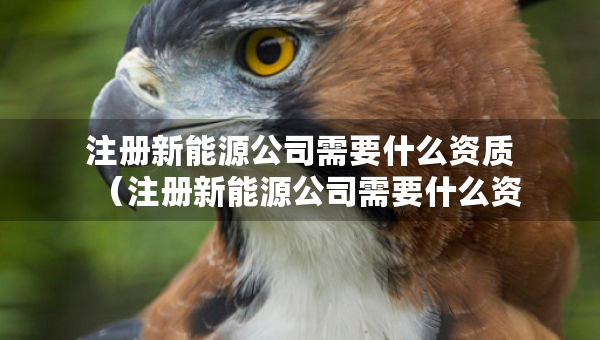 注册新能源公司需要什么资质（注册新能源公司需要什么资质和条件）