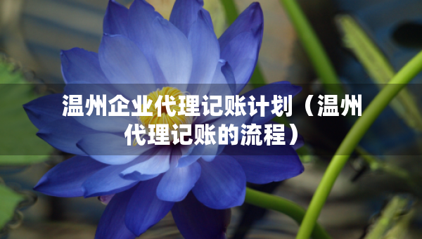 温州企业代理记账计划（温州代理记账的流程）