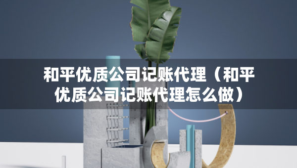 和平优质公司记账代理（和平优质公司记账代理怎么做）