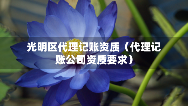 光明区代理记账资质（代理记账公司资质要求）