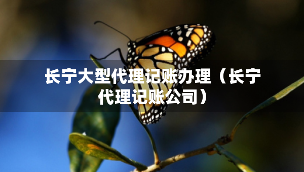 长宁大型代理记账办理（长宁代理记账公司）