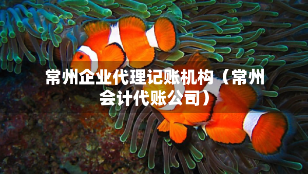 常州企业代理记账机构（常州会计代账公司）