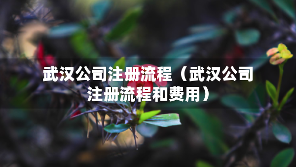 武汉公司注册流程（武汉公司注册流程和费用）