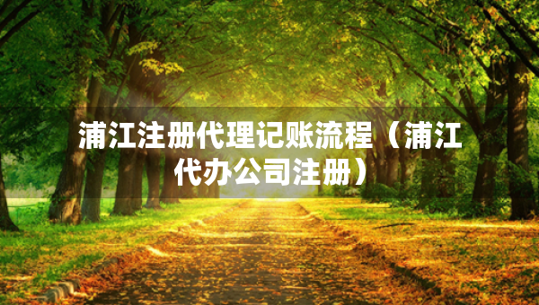 浦江注册代理记账流程（浦江代办公司注册）