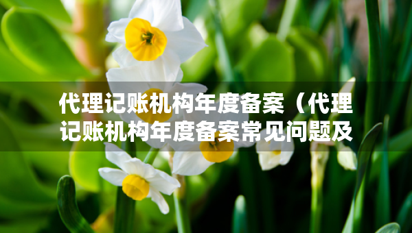 代理记账机构年度备案（代理记账机构年度备案常见问题及解答）