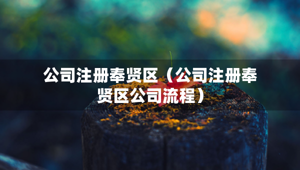 公司注册奉贤区（公司注册奉贤区公司流程）