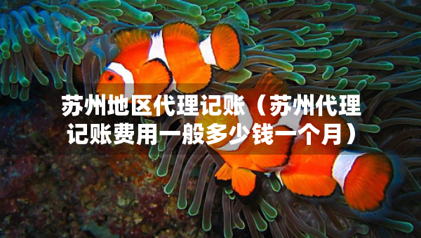 苏州地区代理记账（苏州代理记账费用一般多少钱一个月）