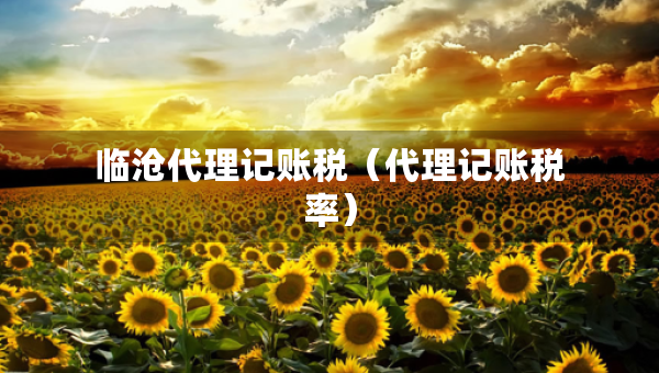 临沧代理记账税（代理记账税率）