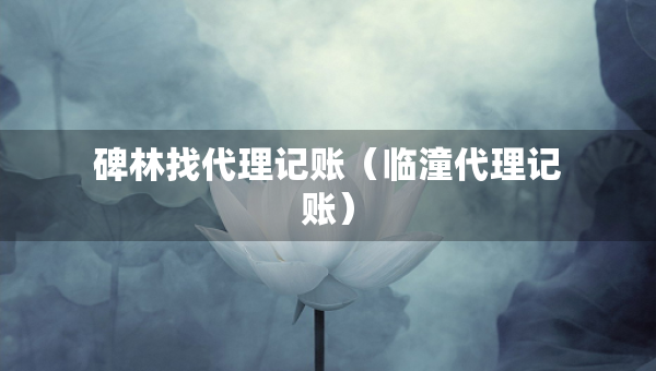 碑林找代理记账（临潼代理记账）